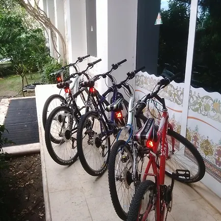 Hotel Pine House By Werde 4*