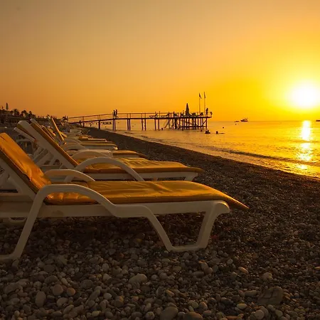 Pine House By Werde 4*